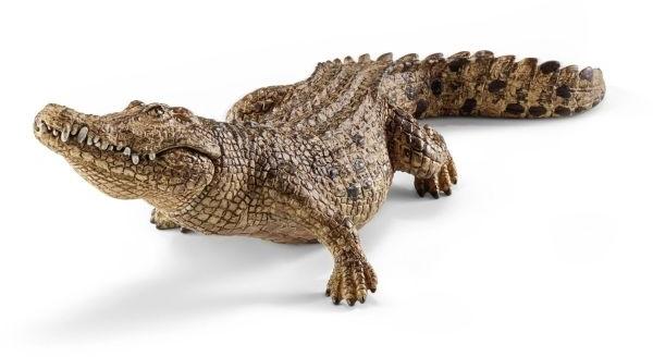Krokodil (14736)