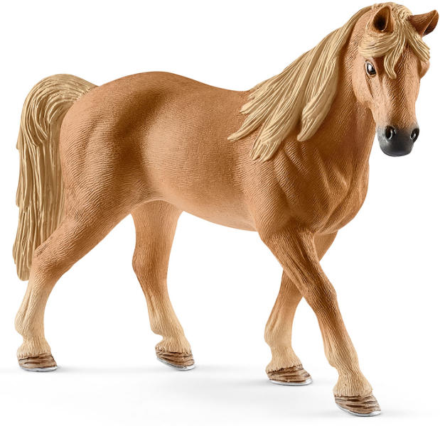 Tennessee Walker kanca (13833)