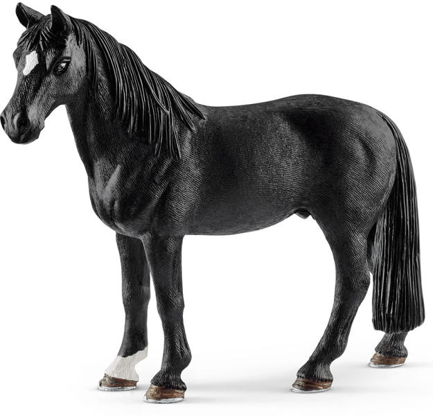 Tennessee Walker paripa (13832)