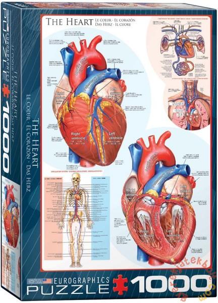 The Heart 1000 db-os (6000-0257)