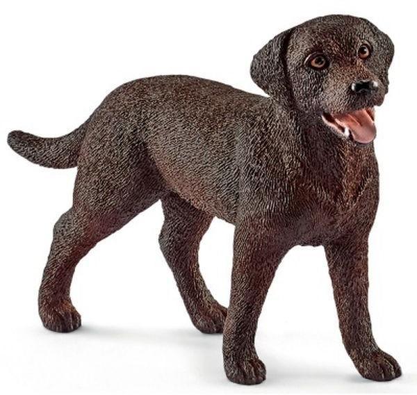 Golden Retriever Szuka (13834)