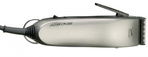 Jaguar cm 2000