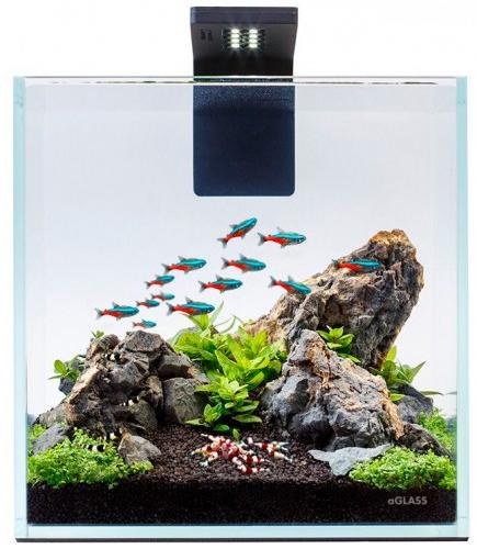 COLLAR® Collar Aquarium Set Nano Set - аквариум с пълно оборудване 22х22х22  см - 10 литра за Бети, малки риби, скариди Аквариуми Цени, оферти и мнения,  списък с магазини, евтино COLLAR® Collar