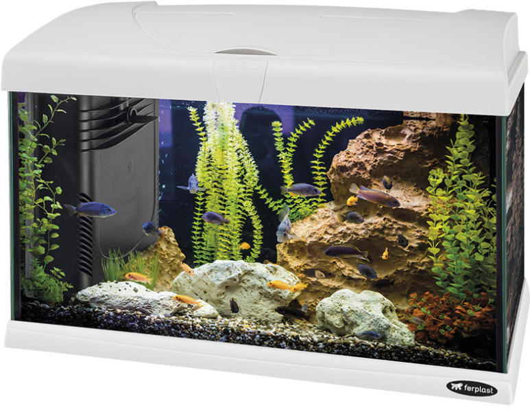 Vásárlás: Ferplast Capri 50 LED 40 l Akvárium árak összehasonlítása,  Capri50LED40l boltok
