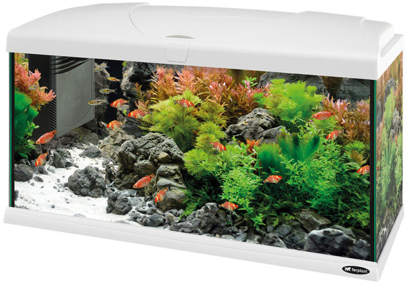 Vásárlás: Ferplast Capri 80 LED 100 l Akvárium árak összehasonlítása,  Capri80LED100l boltok