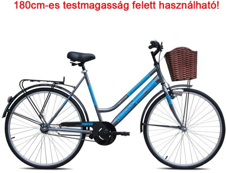 Capriolo Adria Tracer Kerékpár árak, Kerékpár bicikli vásárlás, olcsó  Kerékpárok. bringa akció, árösszehasonlító