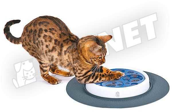 Vásárlás: Hagen CatIt Design Senses Scratch Pad macskajáték - petnet  Játékok macskáknak árak összehasonlítása, CatIt Design Senses Scratch Pad  macskajáték petnet boltok