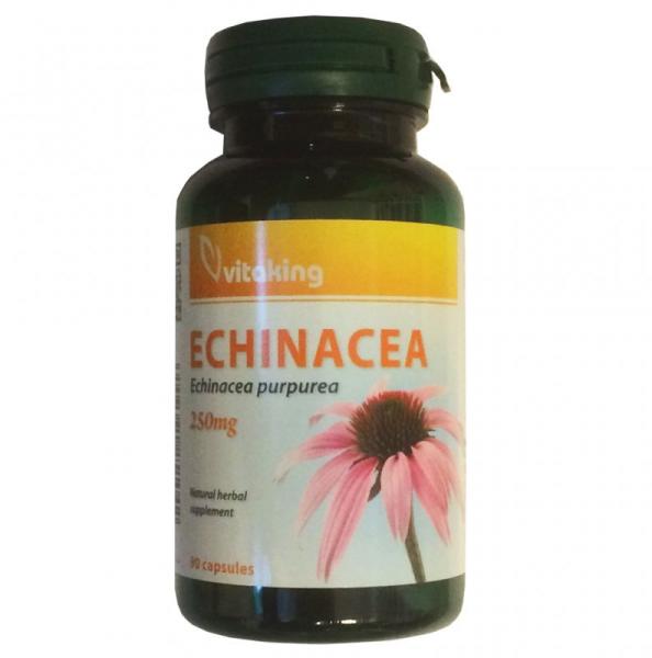 Vásárlás: Vitaking Echinacea (bíbor kasvirág kivonat) kapszula 90db  Táplálékkiegészítő árak összehasonlítása, Echinacea bíbor kasvirág kivonat  kapszula 90 db boltok