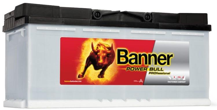 Power Bull Professional 110Ah 900A right+ (P110 40)