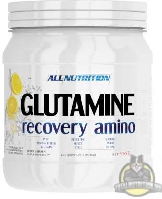 Glutamine Recovery Amino 500 g