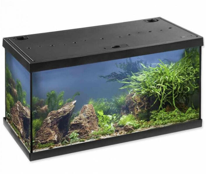 AquaStar 60 LED 54 l