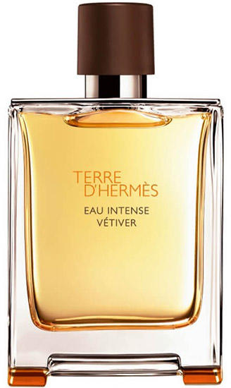Hermès Terre D'Hermes Eau Intense Vetiver EDP 100 ml Preturi Hermès Terre D'Hermes  Eau Intense Vetiver EDP 100 ml Magazine