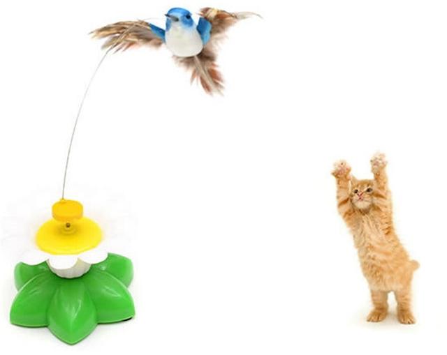 Vásárlás: Repülő madár macskajáték Játékok macskáknak árak  összehasonlítása, Repülőmadármacskajáték boltok