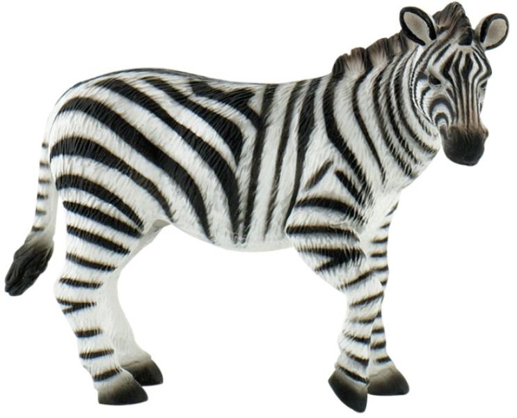 Zebra (63675)