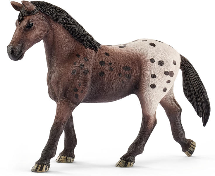 Appaloosa kanca (13861)