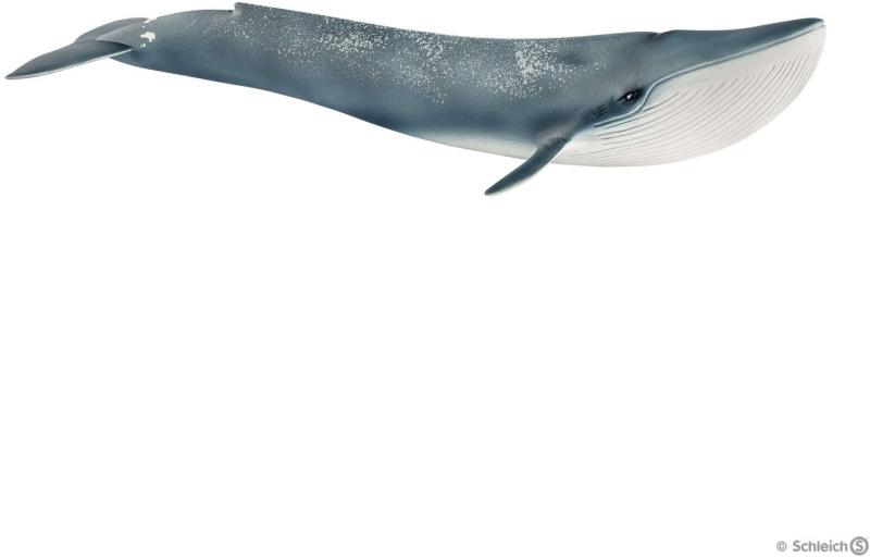 Schleich Balena Albastra (14806) (Figurina) - Preturi