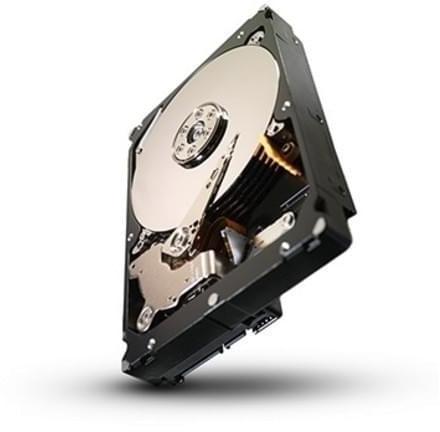 Seagate Constellation ES 500GB (ST500NM0011) (Hard Disk) - Preturi
