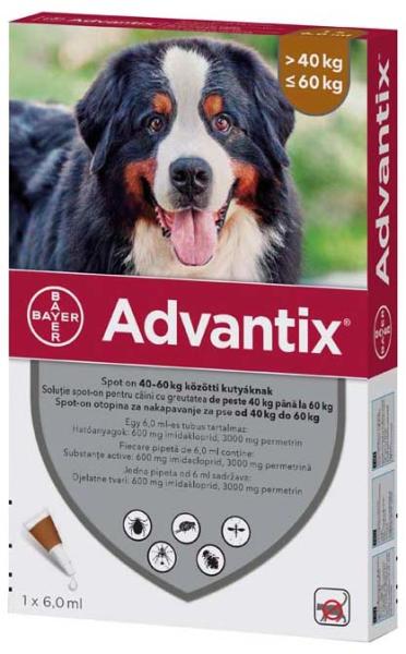 Vásárlás: Bayer Advantix Spot On 40-60 kg 6 ml Élősködők elleni készítmény  kutyáknak árak összehasonlítása, Advantix Spot On 40 60 kg 6 ml boltok