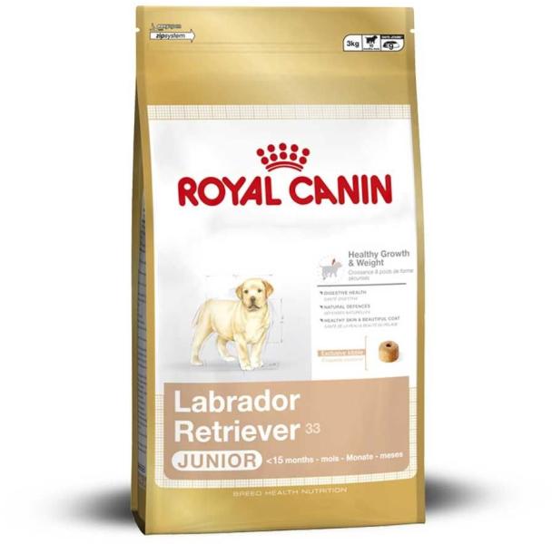 Labrador Retriever Puppy 3 kg