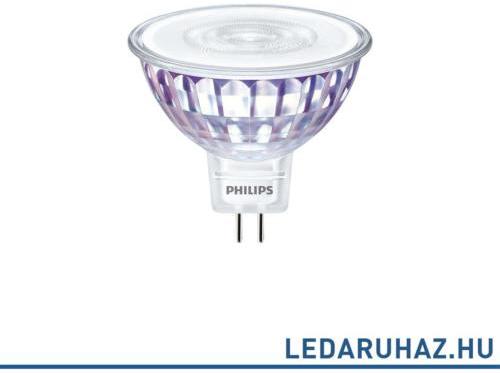 Vásárlás: Philips Master DimTone MR16 LED spot fényforrás, 2200K-2700K  szabályozható, 5W, 345 lm, 36°, CRI 80, 8718696815380 (MR16 PH  8718696815380) Izzó árak összehasonlítása, Master DimTone MR 16 LED spot  fényforrás 2200 K