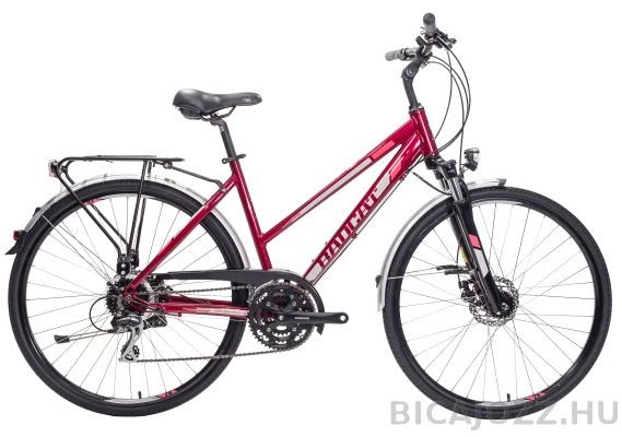 BadBike BadCat Burmilla DT (2019) Kerékpár árak, Kerékpár bicikli vásárlás,  olcsó Kerékpárok. bringa akció, árösszehasonlító