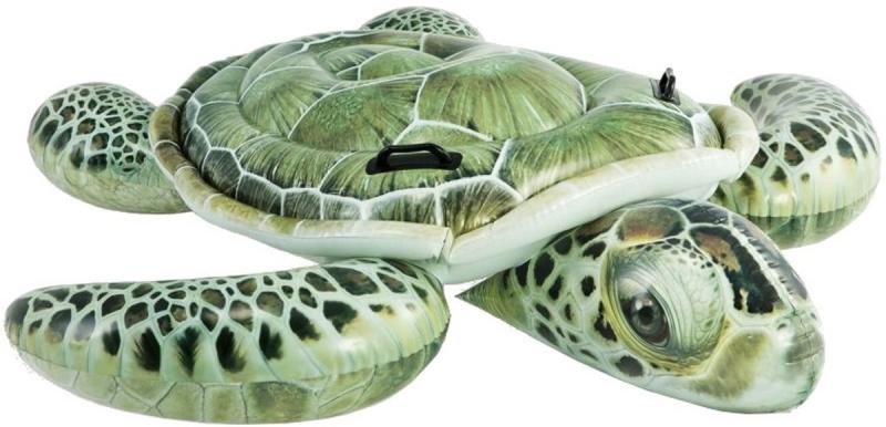 Vásárlás: Intex Valósághű teknős lovagló matrac 191x170cm (57555NP)  Strandmatrac árak összehasonlítása, Valósághű teknős lovagló matrac 191 x 170  cm 57555 NP boltok