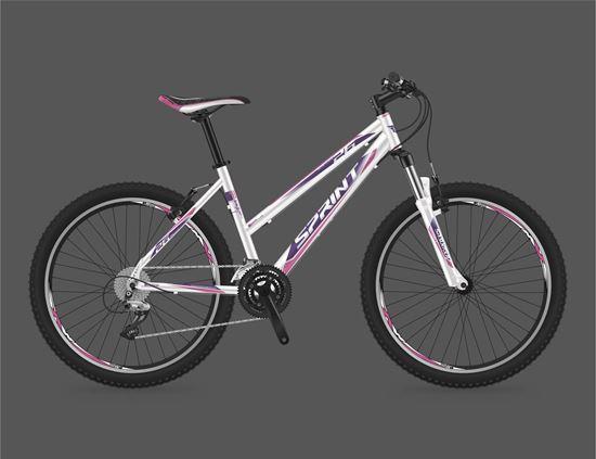 SPRINT Dynamic 26 Kerékpár árak, Kerékpár bicikli vásárlás, olcsó  Kerékpárok. bringa akció, árösszehasonlító