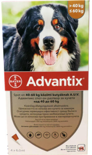 Vásárlás: Bayer Advantix Spot On 40-60 kg 4x6 ml Élősködők elleni  készítmény kutyáknak árak összehasonlítása, Advantix Spot On 40 60 kg 4 x 6  ml boltok
