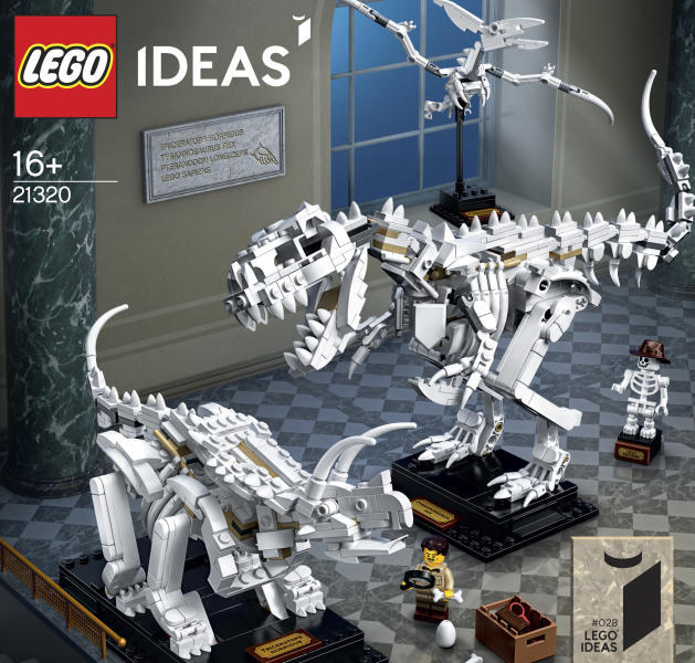 Ideas - Dinoszaurusz maradványok (21320)
