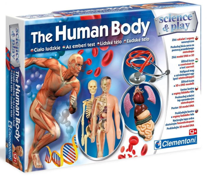 Vásárlás: Clementoni Az emberi test (50332) Tudományos és ismeretterjesztő  játék árak összehasonlítása, Az emberi test 50332 boltok