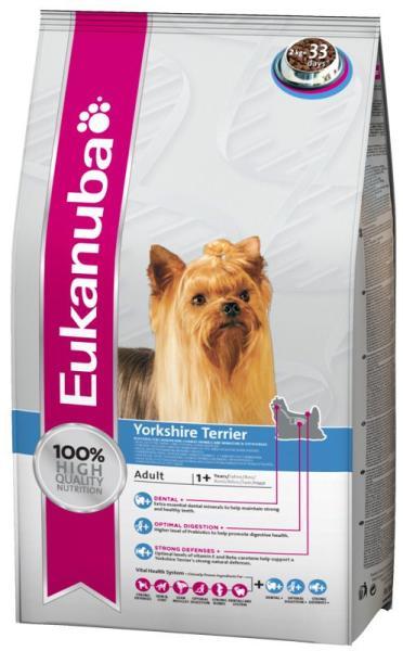 Adult Yorkshire Terrier 2 kg