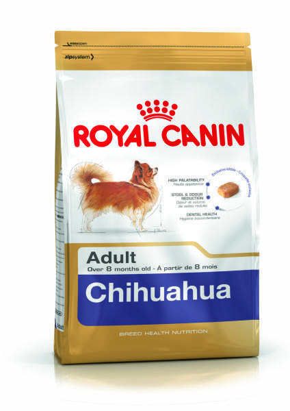 Chihuahua Adult 500 g
