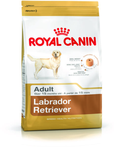 Labrador Retriever Adult 12 kg