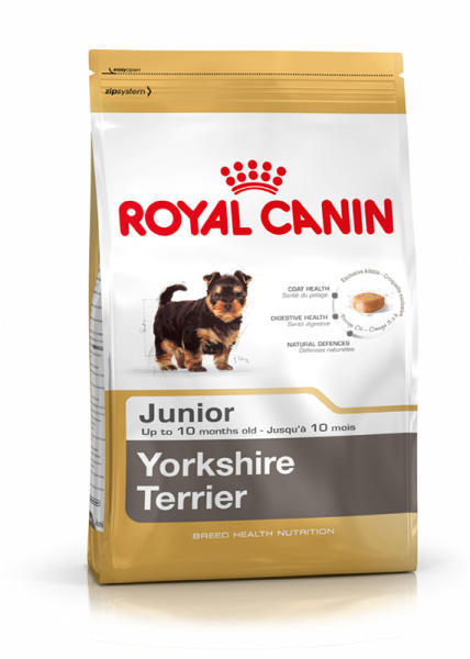 Yorkshire Terrier Junior 1,5 kg
