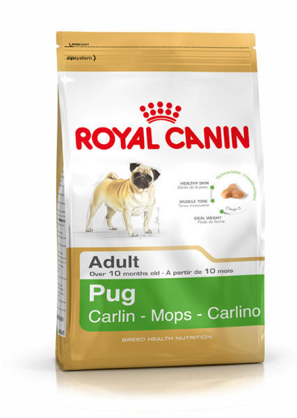 Pug Adult 1,5 kg