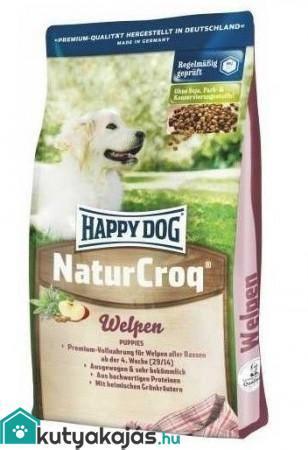 happy dog natur