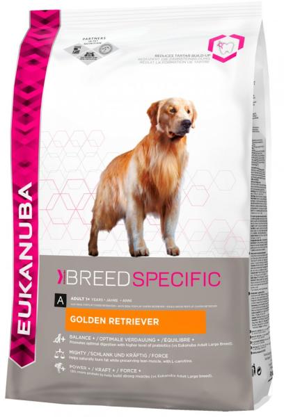 Adult Golden Retriever 12 kg
