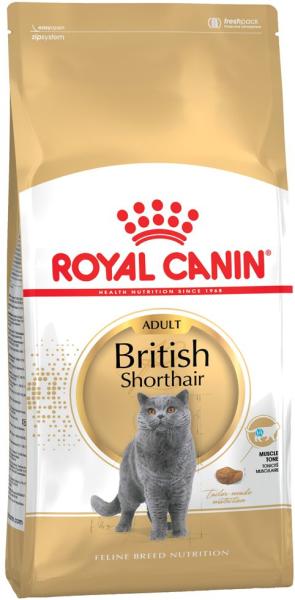 FBN Adult British Shorthair 34 10 kg