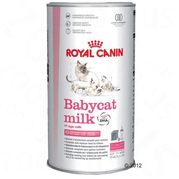 Vásárlás: Royal Canin BabyCat Milk 300 g Macskaeledel árak  összehasonlítása, BabyCatMilk300g boltok