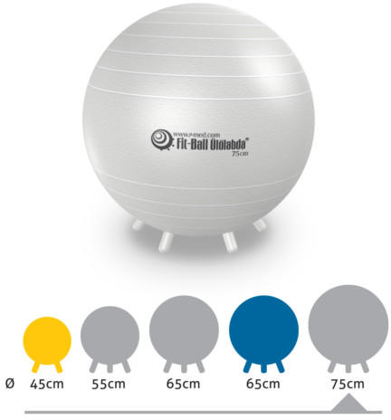 Vásárlás: Gymnic Fit-Ball Ülőlabda lábakkal gyöngyház 75 cm Fitness labda  árak összehasonlítása, Fit Ball Ülőlabda lábakkal gyöngyház 75 cm boltok