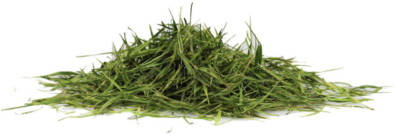 Manu tea FRUNZE DE BAMBUS - plantă, 250g (Ceai, ceai de plante) - Preturi