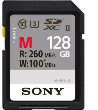 SDXC 256 GB UHS-II SFG2M