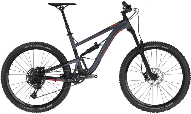 Thorx 10 29