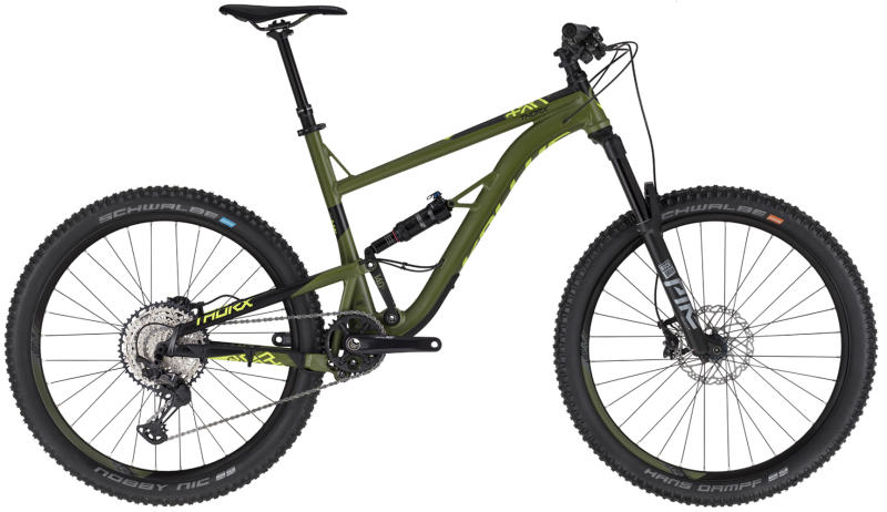 Thorx 50 29