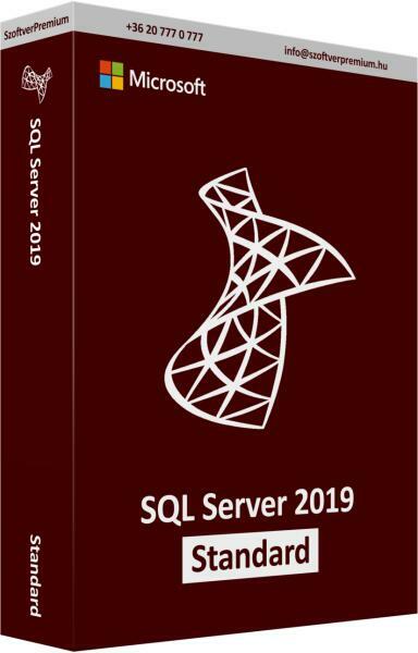 SQL Server Standard Edition 2019 (228-11487)