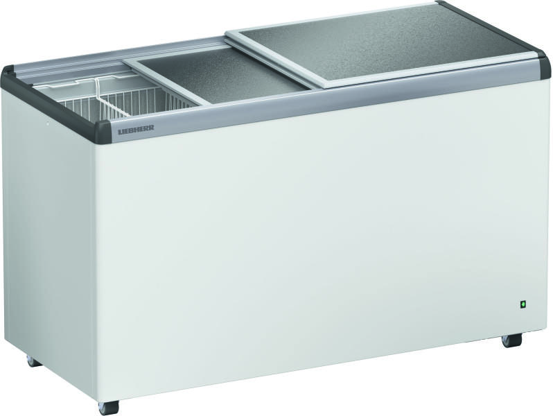 EFE 4600