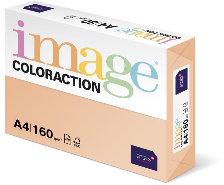 Antalis Carton color Coloraction, A4, 160 g, 250 coli/top, somon - Savana  (CL1604) (Hartie copiator, imprimanta) - Preturi