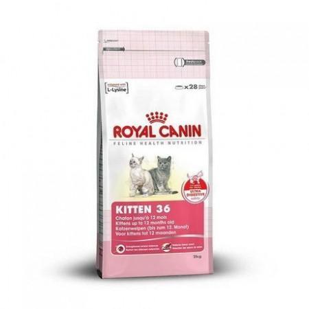 FHN Kitten 36 2 kg