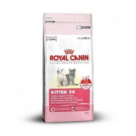 Vásárlás: Royal Canin FHN Kitten 36 2 kg Macskaeledel árak  összehasonlítása, FHNKitten362kg boltok