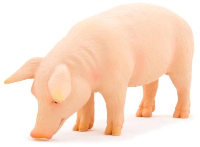 Animal Planet Kan disznó figura (MJ387080)